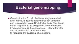 Bacterial gene mapping | PPT