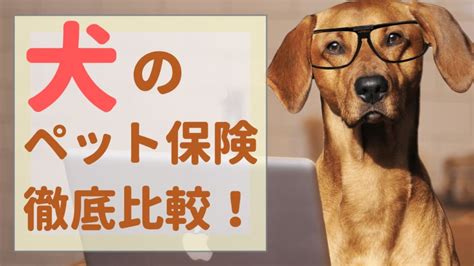 【fp監修】ペット保険の補償対象外とは？保険金が支払われないのはどんなとき？｜ペット保険のトリセツ