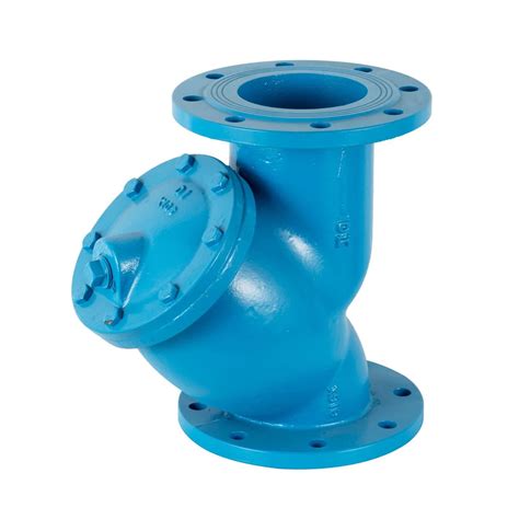 Cast Ductile Iron Stainless Steel Flange End Y Type Strainer Filter