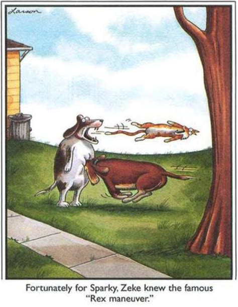 Fortunately For Sparky Zeke Knew The Famous Rex Maneuver Far Side