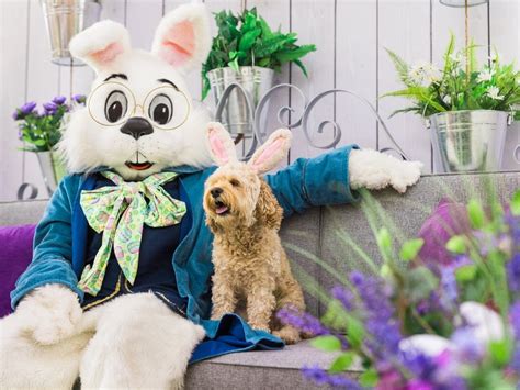 Easter Bunny Will Come To Quaker Bridge Mall On Friday Lawrenceville