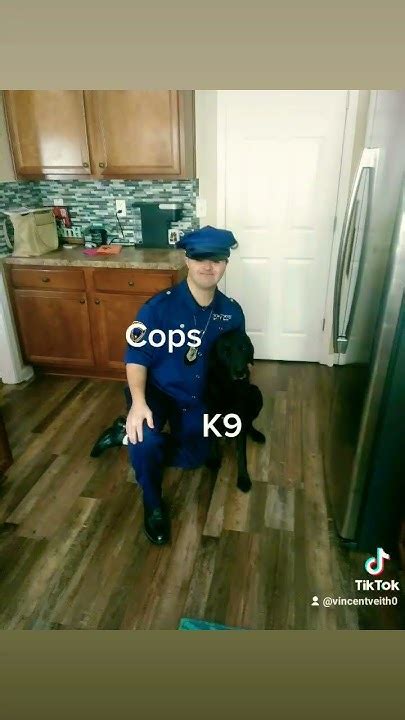 Cops Theme Song Tv Version Youtube