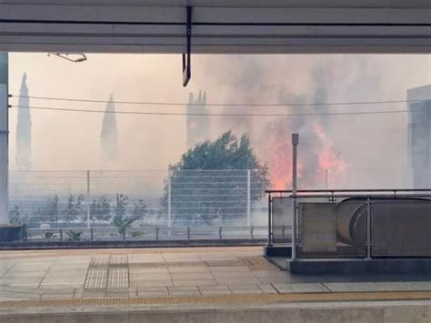 Paura A Cesano Di Roma Incendio Alla Stazione Dei Treni Servizio