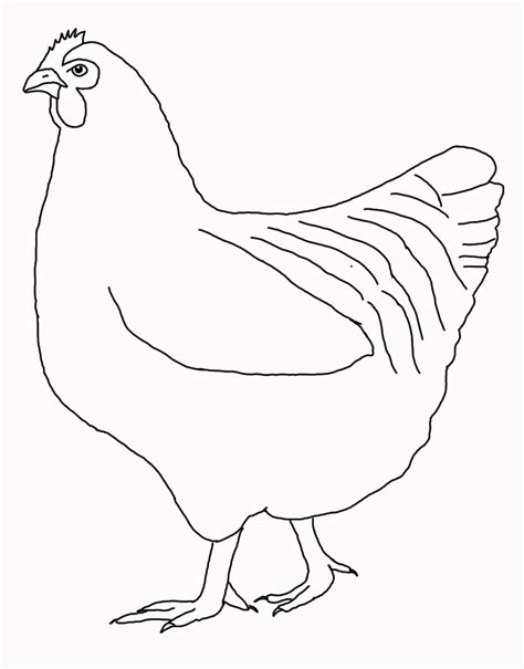 Chicken Drawing Outline At Getdrawings Free Download