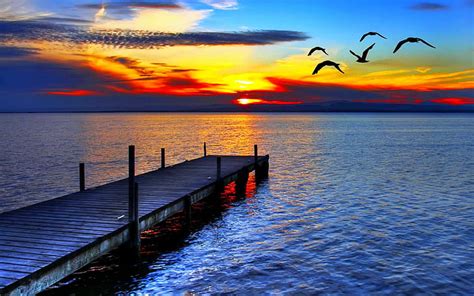 Sunset Flights Brown Wooden Dock With Five Birds Flying Near Ocean