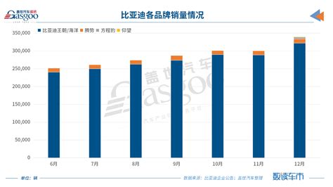 比亚迪2023年销量突破300万辆，锁定全球新能源车销冠 盖世汽车资讯