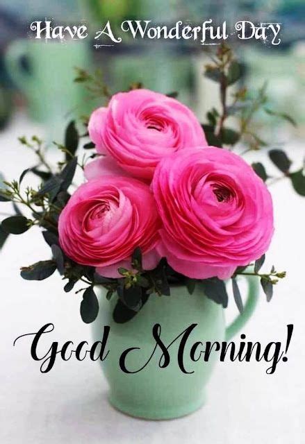 Good Morning Quotes Flowers Images Darci Elonore