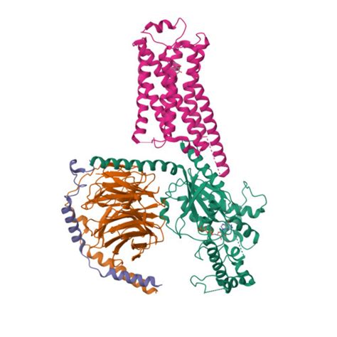 Rcsb Pdb Gga Cryoem Structure Of Beta Adrenergic Receptor In