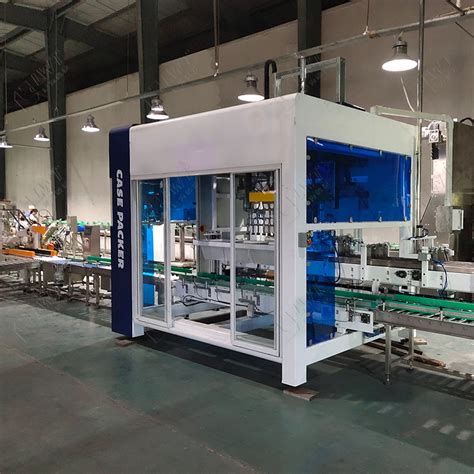 Leadworld Palletizing Production Packaging Machines Line With Multi