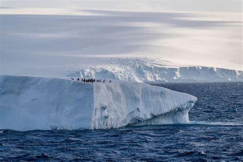 Faster Melting of West Antarctic Ice Sheet Is 'Unavoidable’ - Bloomberg