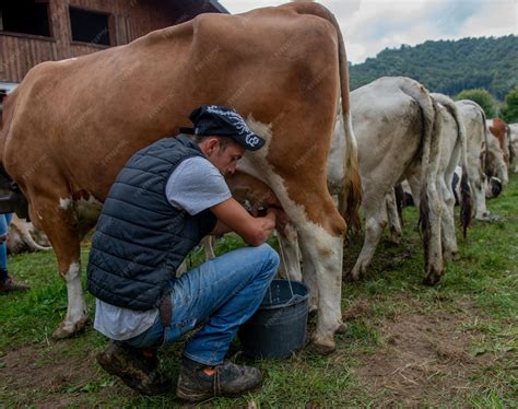 Premium Photo | Livestock fair the largest cattle show in the bergamo