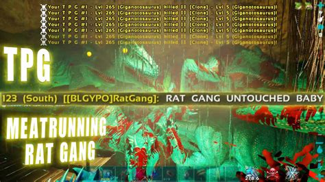 Rat Gang Untouched Baby Wiu Wiutpg Ark Official Pvp Youtube