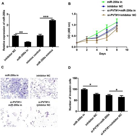 Long Non‑coding Rna Pvt1 Promotes Glioma Cell Proliferation And