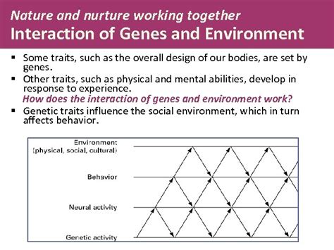 Chapter 4 Nature Nurture And Human Diversity Power