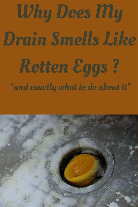 Bathroom Sink Smells Like Rotten Eggs Why Your Sink Drain Smells Like