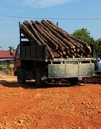 Kayu Bakau Kuala Sepetang Kelebihan Kayu Bakau Kuala Sepetang Matang