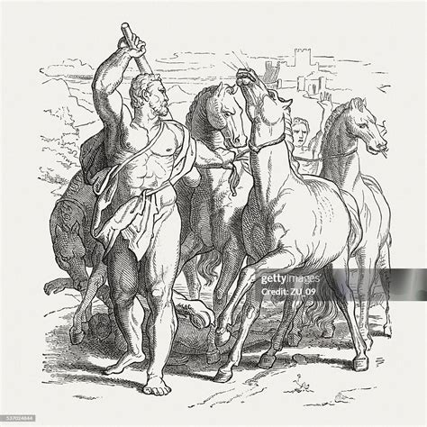 Hercules Conquered The Horses Of Laomedon Greek Mythology Published