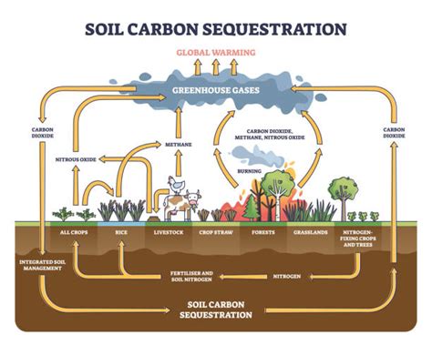 560 Carbon Capture Stockillustraties Royalty Free Vector Illustraties