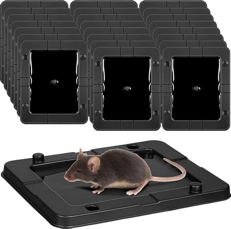 Qualirey 24 Packs Large Baited Glue Traps Bulk For Rats