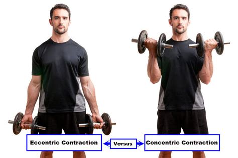 Concentric vs. Eccentric Contractions - JOI & JOI Rehab