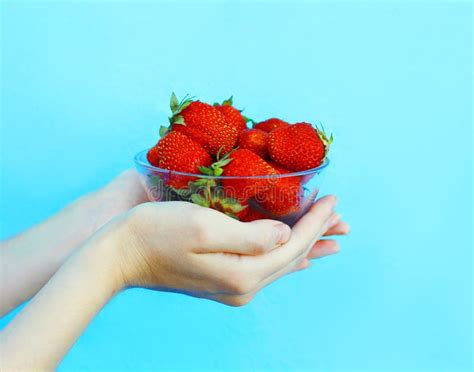 Female Hands Holding Handful Of Strawberries Close Up Over Blue Stock