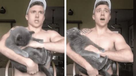 Tik Tok viral Gato muerde la mano de su dueño y él tiene un peculiar