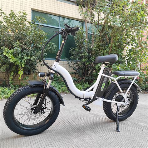 Disiyuan Folding Step Through Electric Bicycle 20 Inch Fat Tire 750w E