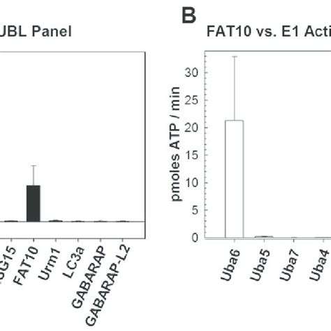 Figure S3 Progress Curves Of Ubl Adenylate And Thioester Formation