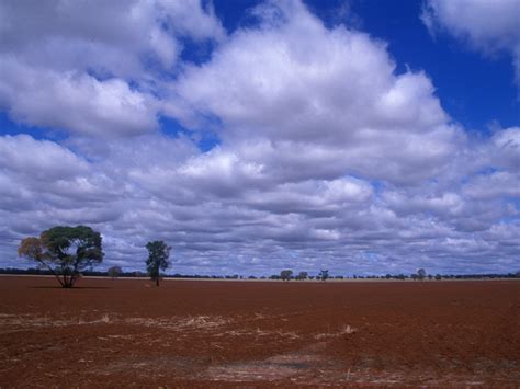 Condobolin, NSW - Aussie Towns