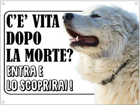 Cartello Attenti Al Cane Maremmano C Vita Dopo La Morte Entra E Lo