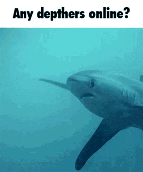 Thresher Shark Thresher Thresher Shark Thresher Shark Discover