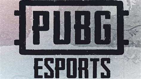 2020 PUBG Esports Plans Revealed