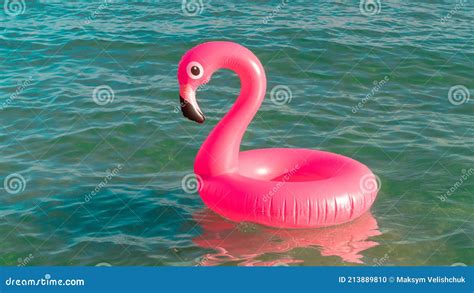 Fundo Do Conceito De Ver O Flamingo Rosa Infl Vel Na Gua Azul Do