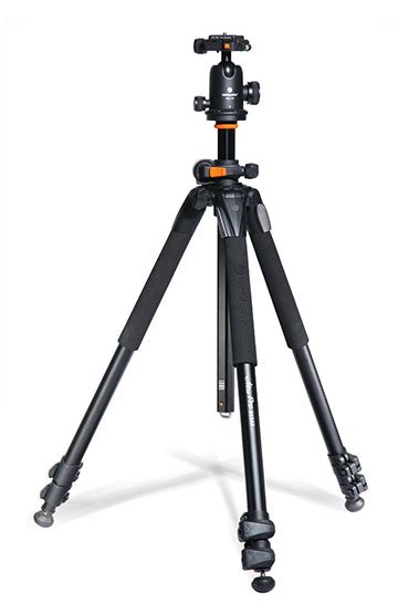 The 10 Best Camera Tripods That Crush The Competition Under 50 100