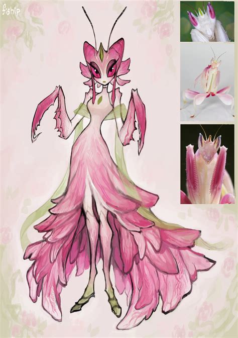 Here S An Orchid Mantis Lady You Should Be Avoiding This Holiday