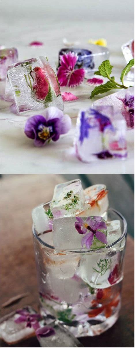 Ideas De Cubos De Hielo Me Lo Dijo Lola