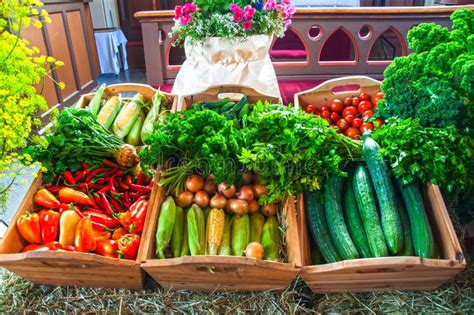 Harvest Festival Stock Photo - Image: 48949350