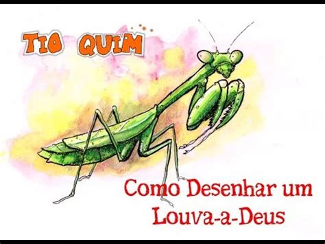 Como Desenhar Um Louva-a-deus - Como desenhar um Louva-a-Deus - YouTube