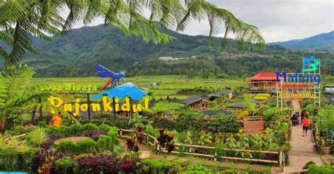 7 Desa Wisata Yang Mengusung Konsep Sustainable Tourism