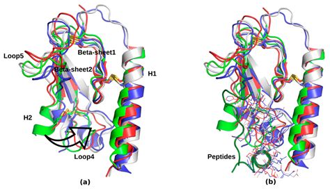 Ijms Free Full Text A Molecular Dynamics Study Of Vasoactive