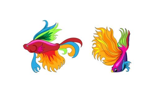 Premium Vector 2 Siamese Fighting Fish Vector Illustration