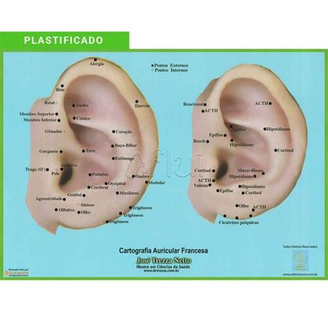 Mapa Cartografia Auricular Francesa José Trezza Netto a partir de R 11 64