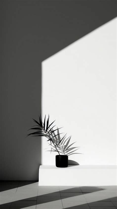 Shadow wall architecture nature. AI | Free Photo - rawpixel