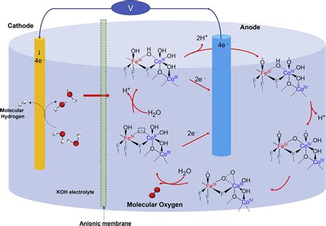 Efficient Oxygen Evolution Reaction Electrocatalysts Can Boost Green