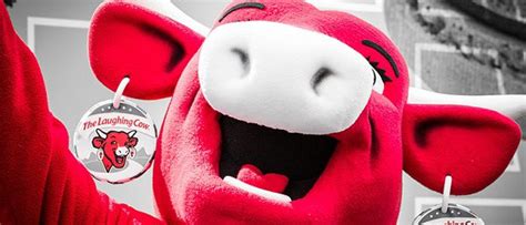 Linh Vật Thương Hiệu Là Gì Mascot Có Phải Là 1 Vũ Khí Bí Mật