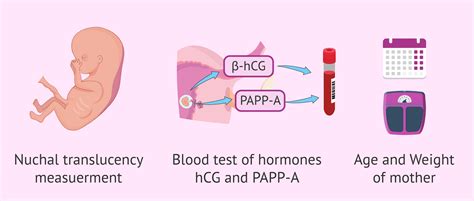 Invasive And Non Invasive Prenatal Diagnostic Tests