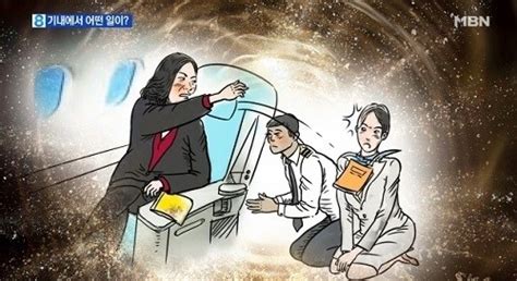 ‘땅콩회항 女승무원 병가까지 내더니 결국 서울신문