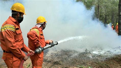 Orman yangınlarıyla mücadelede gönüllü sayısı 118 bine ulaştı