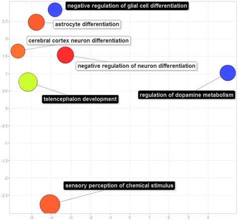 Revigos Scatterplot View Of Seven Gene Functional Categories