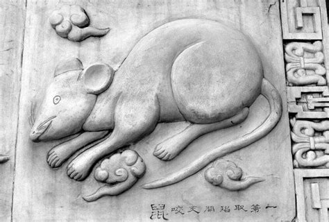 Rat Symbolism & What They Mean In Different Cultures